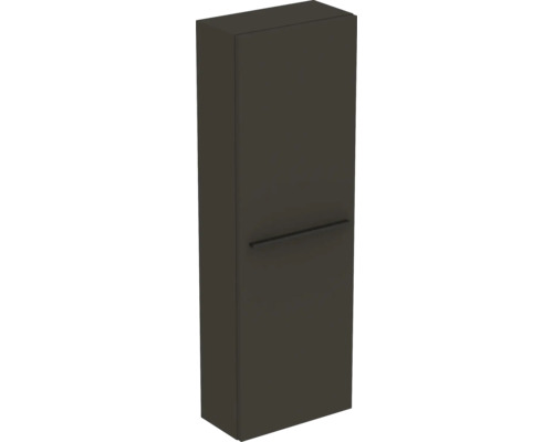 Hochformatiger Badezimmer-Hängeschrank mit Griff