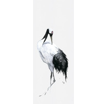 Illustration eines Kranichs