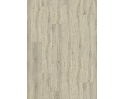 Vinyl-Diele Dryback 55 Appaloosa Taupe zu verkleben 230x1500x2,5 mm