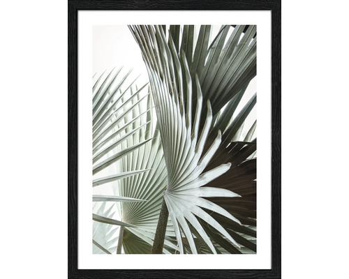 Gerahmtes Bild Jungle Leaves III 33x43 cm