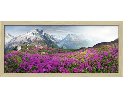 Gerahmtes Bild Mountain Landscape II 130x60 cm