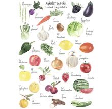 Alphabetgarten Früchte und Gemüse Illustration