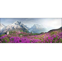Panorama einer Berglandschaft mit blühenden Alpenrosen im Vordergrund