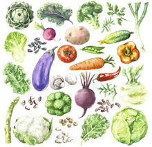 Illustration verschiedener Gemüsesorten wie Artischocken, Kohl und Broccoli