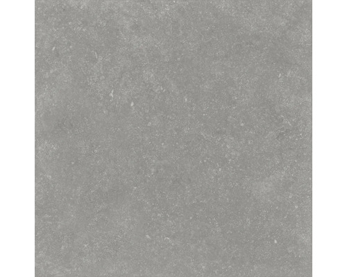 FLAIRSTONE Feinsteinzeug Terrassenplatte Skyfall grey rektifizierte Kante 90 x 45 x 3 cm