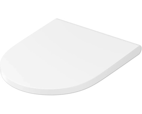 Toilettendeckel aus Kunststoff
