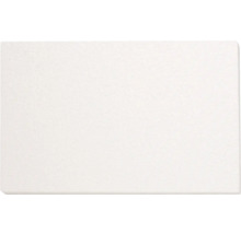 Styroporplatte 50x30x2 cm | HORNBACH
