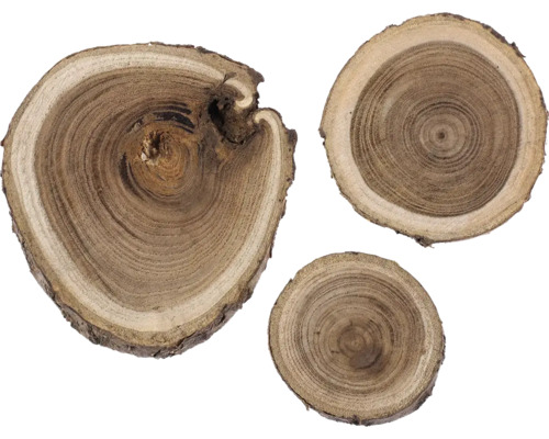 Holzscheiben Heuschreckenholz 3-6 cm 80 g