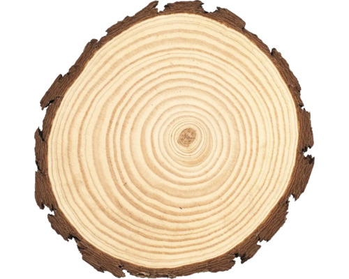 Holzscheibe Kiefer 20-22x2 cm