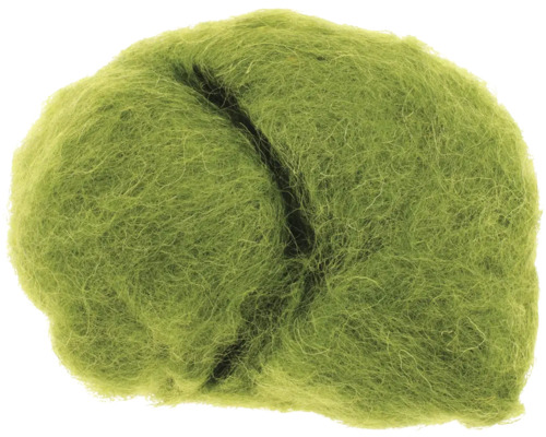 Schafwolle grün 30 g