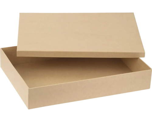 Pappbox DIN A4 24,7x34,7x6 cm