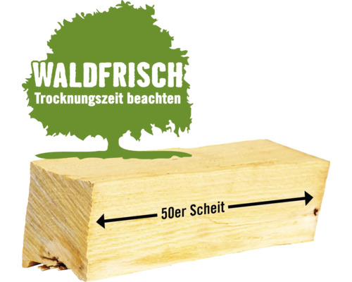 Kaminholz Brennholz HORNBACH FORST lose Laubhölzer gemischt, 1 Schüttraummeter, ca. 48 - 50 cm, waldfrisch