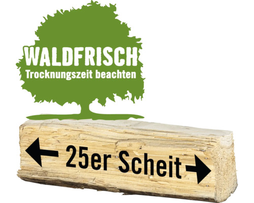 Kaminholz Brennholz HORNBACH FORST Nadelholz gemischt lose 1 Schüttraummeter ca. 22-25cm, waldfrisch