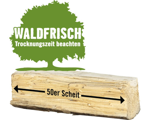 Kaminholz Brennholz HORNBACH FORST Nadelholz gemischt lose 1 Schüttraummeter ca. 48-50 cm, waldfrisch