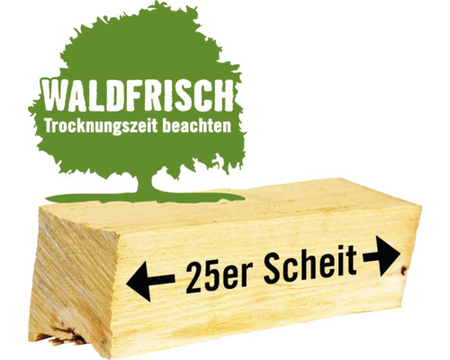 Kaminholz Brennholz HORNBACH FORST lose Laubhölzer gemischt, 1 Schüttraummeter, ca. 22 -25 cm, waldfrisch