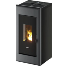 FreePoint Pelletofen mit Flamme im Inneren