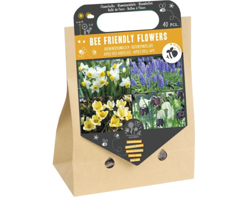 Blumenzwiebel Mischung 'Bienenfreundliche Blumen I' mit Narzisse, Traubenhyazinthe, Krokus & Schachbrettblume 40 Stück Blumenzwiebeln, bienenfreundlich, 40 Stück in einer Papiertüte