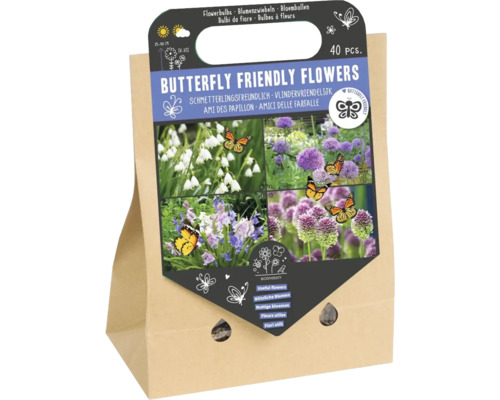 Blumenzwiebel Mischung 'Schmetterlingsfreundliche Blumen' mit Allium, Blaustern & Sommerknotenblume mit 40 Stück Schmetterlingsfreundliche Blumen Blumenzwiebelmischung in Papiertüte