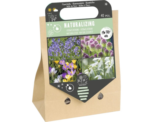 Blumenzwiebel Mischung 'Nützliche Blumen zum Verwildern' mit Botanischem Krokus, Schneeglöckchen, Blausternchen & Allium 40 Stück Blumenzwiebel Mischung 'Nützliche Blumen zum Verwildern' mit Botanischem Krokus, Schneeglöckchen, Blausternchen & Allium 40 Stück