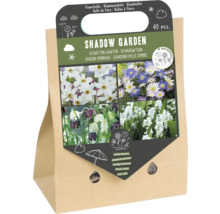 Blumenzwiebeln für den Schattengarten, 40 Stück