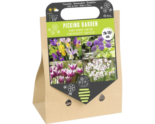 Blumenzwiebel-Mischung 'Schnittgarten' mit Allium, Tulpe, Iris & Ixia 40 Stück Schnittblumen Blumenzwiebelmischung für den Garten, 40 Stück
