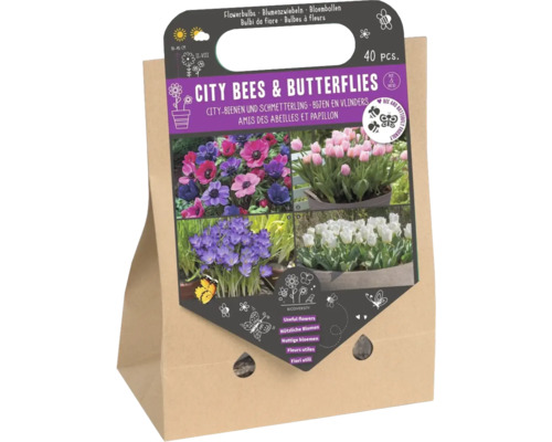 Blumenzwiebel Mischung 'City Bienen & Schmetterlinge' mit Krokus, Tulpe & Anemone 40 Stück Blumenzwiebel Mischung 'City Bienen & Schmetterlinge' mit Krokus, Tulpe & Anemone 40 Stück