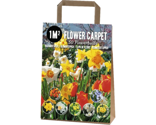 Blumenzwiebel Teppich für 1 m² Flower Carpet Kashmir' mit Tulpe, Narzisse & Chionodoxa Blumenzwiebeln Mischung für einen Quadratmeter im Papiersack