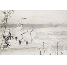 Illustration von Reihern im Wasser mit Bambus