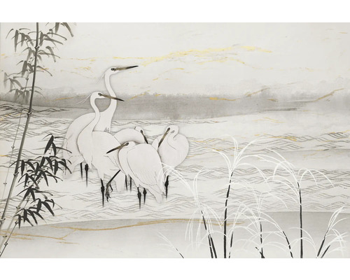 Fototapete Vlies 2244-10 GMK Art Edition Birds Asia weiß 400 x 270 cm