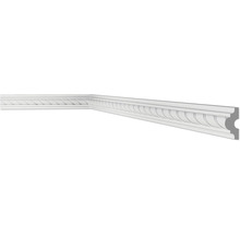 Profipack Wandleiste CO1, 20 x 2 m, 20 x 40 mm