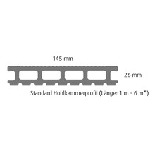 Konsta WPC Terrassendiele Futura Hohlkammerprofil mattiert 26x145 mm (Meterware ab 100 m bis max. 600 m) anthrazit-thumb-2