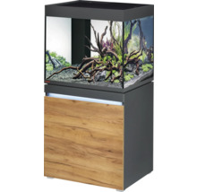 Komplettes Aquarium mit Unterschrank und Innenausstattung