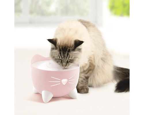 Katze trinkt aus einem pinkfarbenen Trinkbrunnen für Haustiere