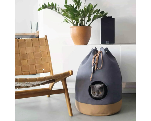 Katze in Katzenhöhle neben einem Stuhl und Zimmerpflanzen
