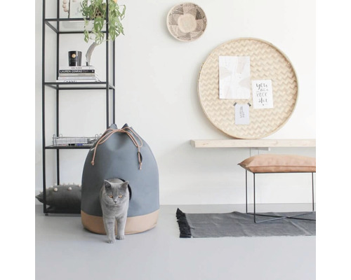 Wohnzimmer mit Katzenhaus im modernen Stil, Regal, Bank und Dekoration