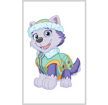 Paw Patrol Everest Illustration