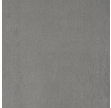 FLAIRSTONE Feinsteinzeug Terrassenplatte Titan rektifizierte Kante 60 x 60 x 2 cm-thumb-11 FLAIRSTONE Feinsteinzeug Terrassenplatte Titan rektifizierte Kante 60 x 60 x 2 cm-thumb-11