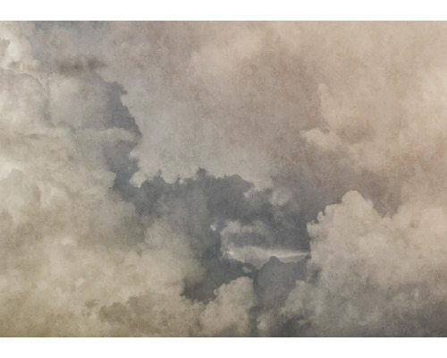 Fototapete Vlies Digitaldruck 363166 Magic Walls Himmel grau 8-tlg. 424 x 300 cm Fototapete Vlies Digitaldruck 363166 Magic Walls Himmel grau 8-tlg. 424 x 300 cm