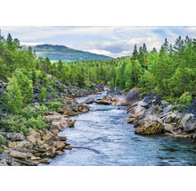 Fototapete Vlies Digitaldruck 363272 Magic Walls Fluss grün 7-tlg. 371 x 265 cm