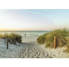 Fototapete Vlies Digitaldruck 363296 Magic Walls Strand beige 7-tlg. 371 x 265 cm