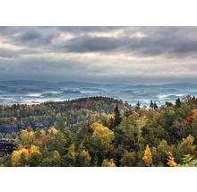 Landschaft mit Wald, Hügeln und Nebel unter bewölktem Himmel