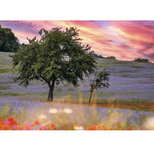 Landschaft mit Bäumen und blühender Wiese