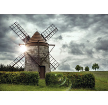 Windmühle auf einem Feld unter bewölktem Himmel
