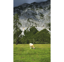 Kuh weidet auf einer grünen Wiese vor einer Berglandschaft.