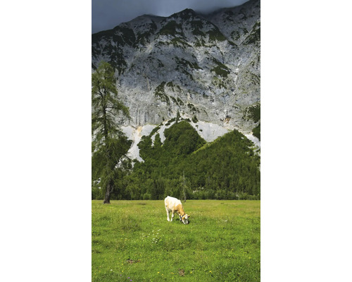 Fototapete Vlies Digitaldruck 364637 Magic Walls Alpen grün 3-tlg. 159 x 265 cm