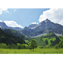 Landschaft mit Bergen, Wiesen und Bäumen