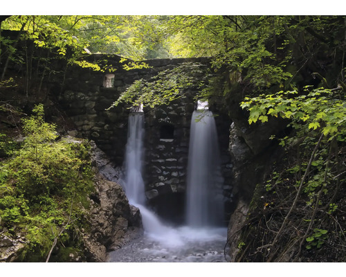 Fototapete Vlies Digitaldruck 364668 Magic Walls Wasserfall grün 7-tlg. 371 x 265 cm