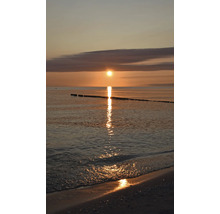 Fototapete Vlies Digitaldruck 364682 Magic Walls Sonne rot 3-tlg. 159 x 265 cm