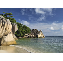 Strandlandschaft mit Felsen und Vegetation