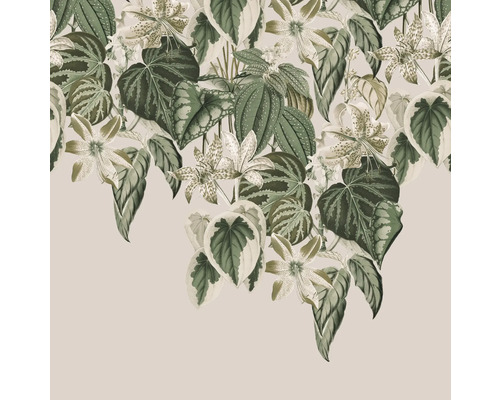 Fototapete Vlies Digitaldruck 590012 Magic Walls Blätter beige 6-tlg. 300 x 300 cm Fototapete Vlies Digitaldruck 590012 Magic Walls Blätter beige 6-tlg. 300 x 300 cm